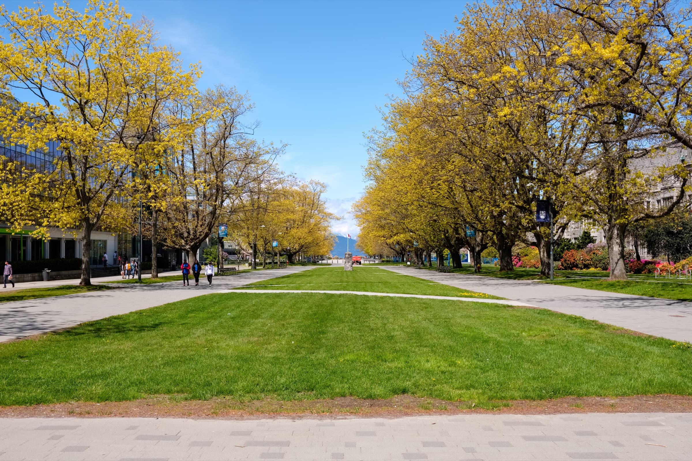 UBC Main Mall in Vancouver, seen along its tree-lined central axis